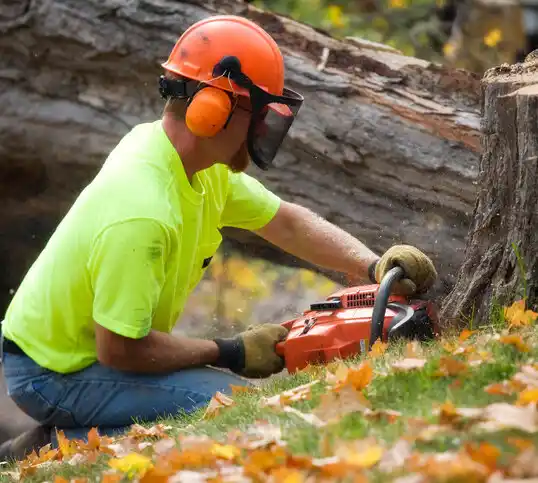 tree services Hillview